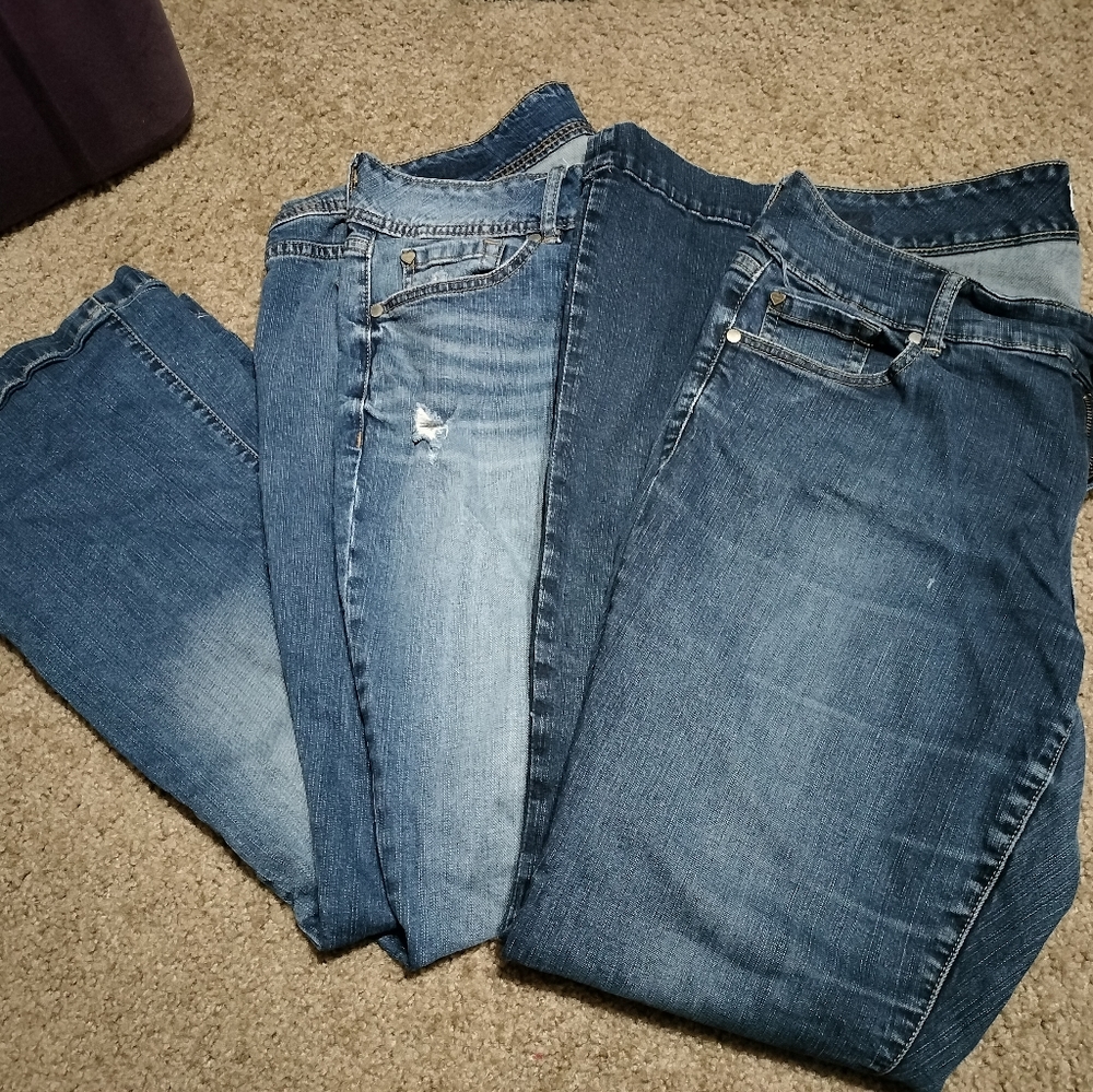 Torrid Jeans - 2 pair bundle!